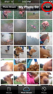 Edit Photo Thumbnails Edit Photo Thumbnails
