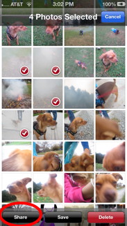 Select Multiple Photos Select Multiple Photos