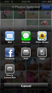 Share Photos Share Photos