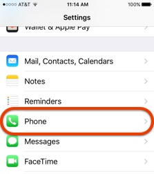 Phone Settings