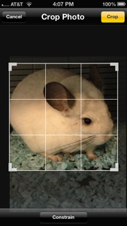Crop Photo
