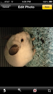 Rotate Photo