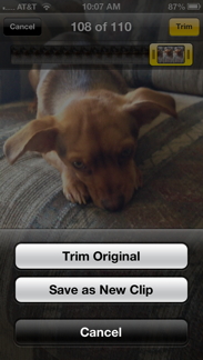 Save Trim Video