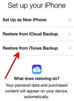 Restore from iTunes Backup