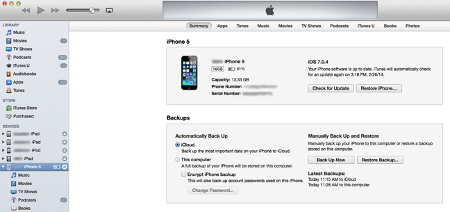 iTunes Summary