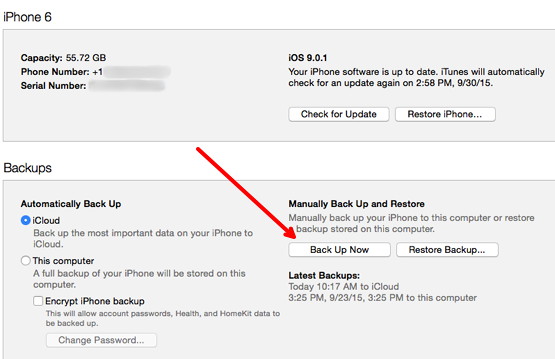 Back Up Now Button