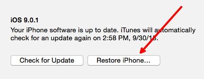 Restore iPhone