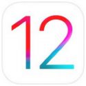iOS 12 Icon